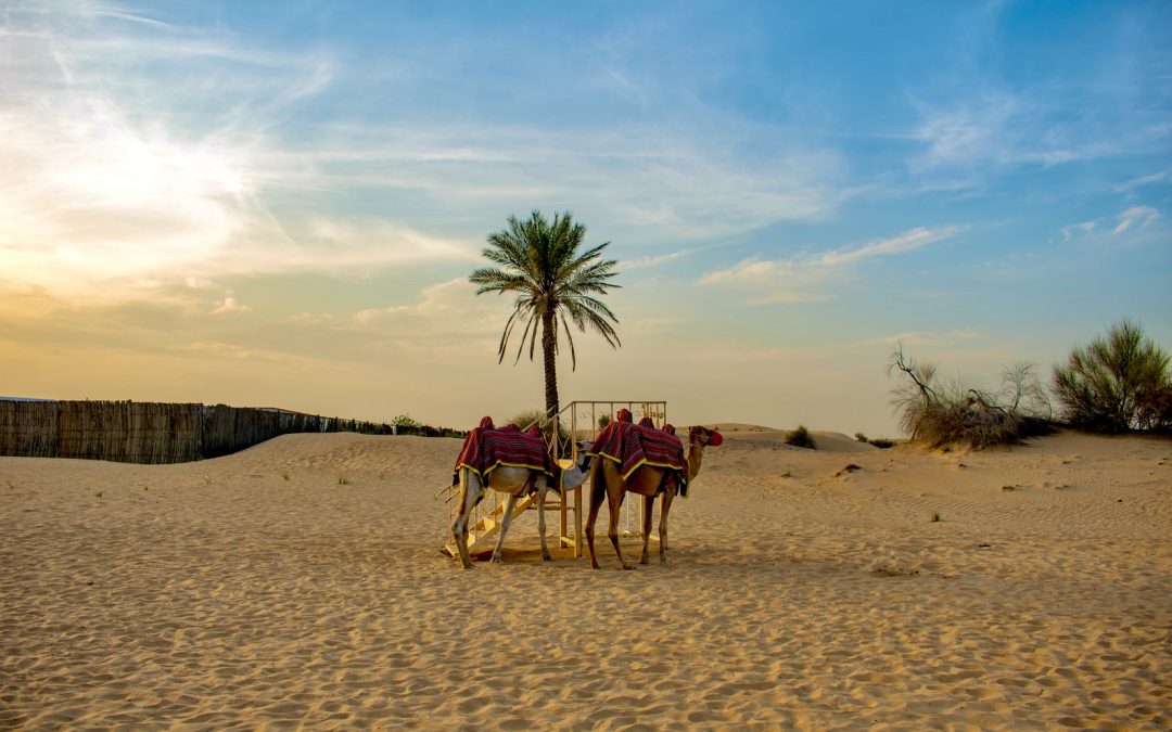 Dubai, at a glance.