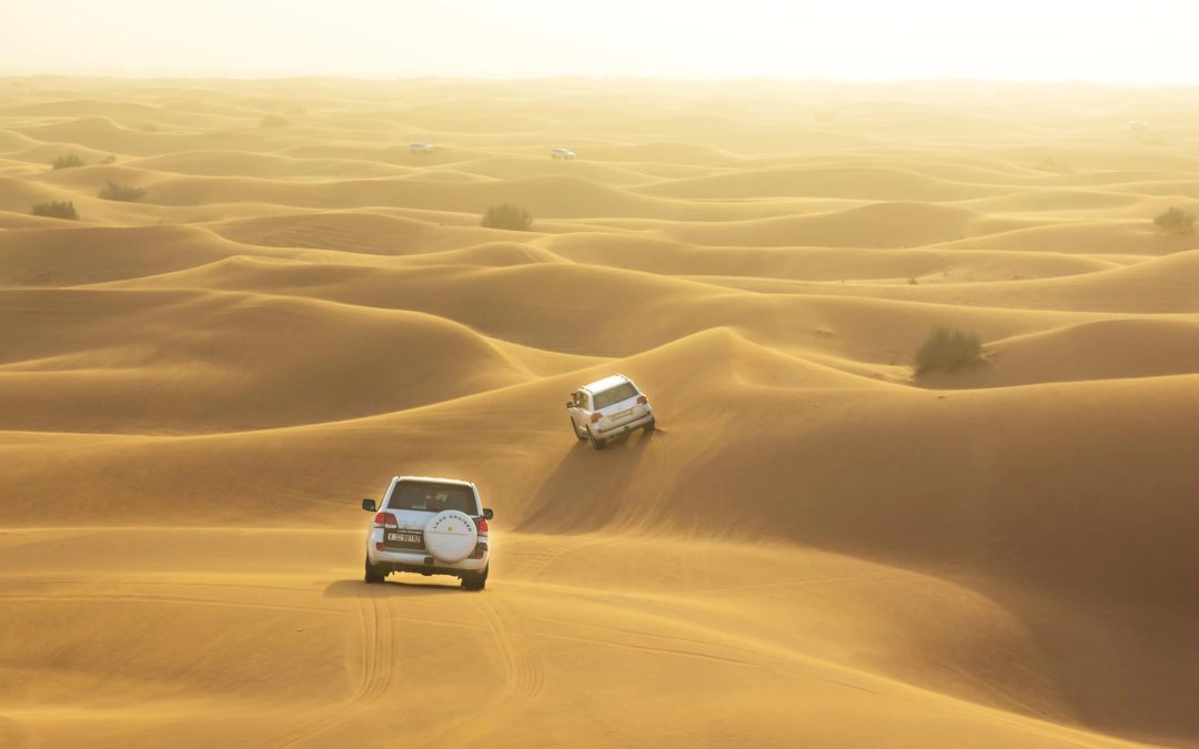 Dubai Desert Safari