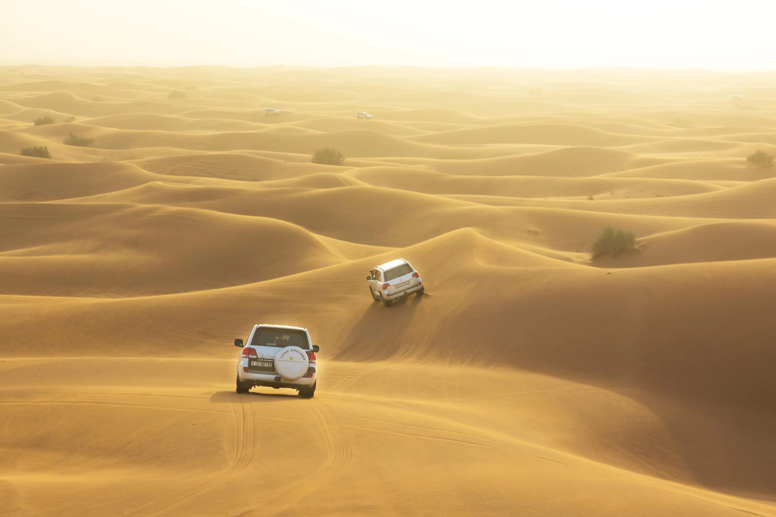 Dubai Desert Safari