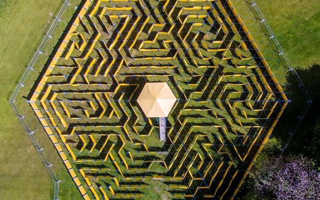 The Wonder Maze