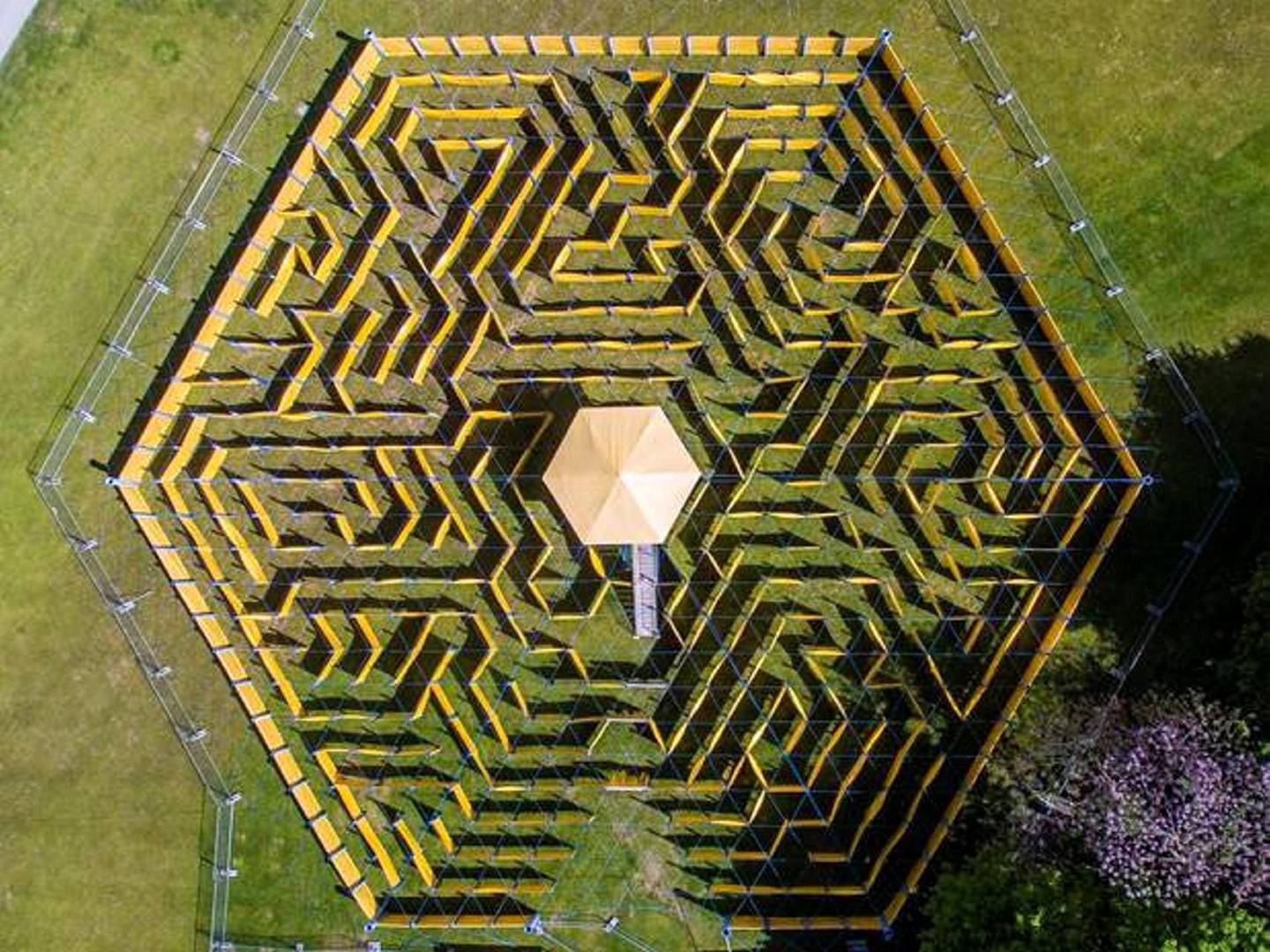 The Wonder Maze
