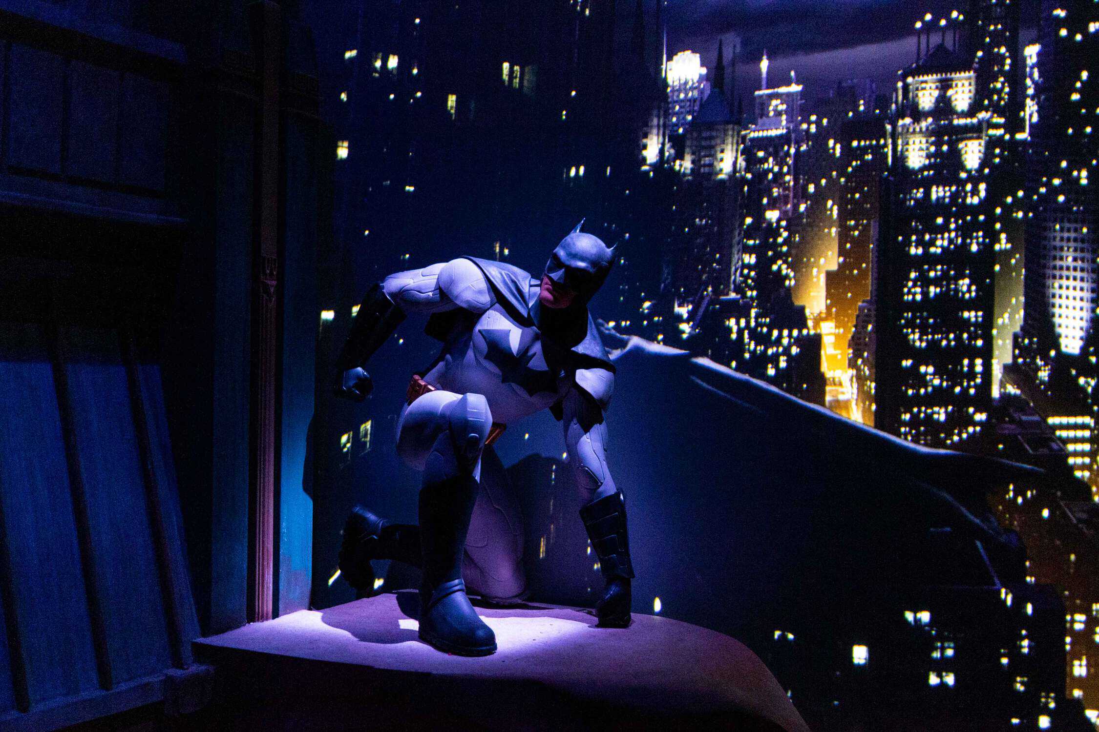 Batman: Knight Flight
