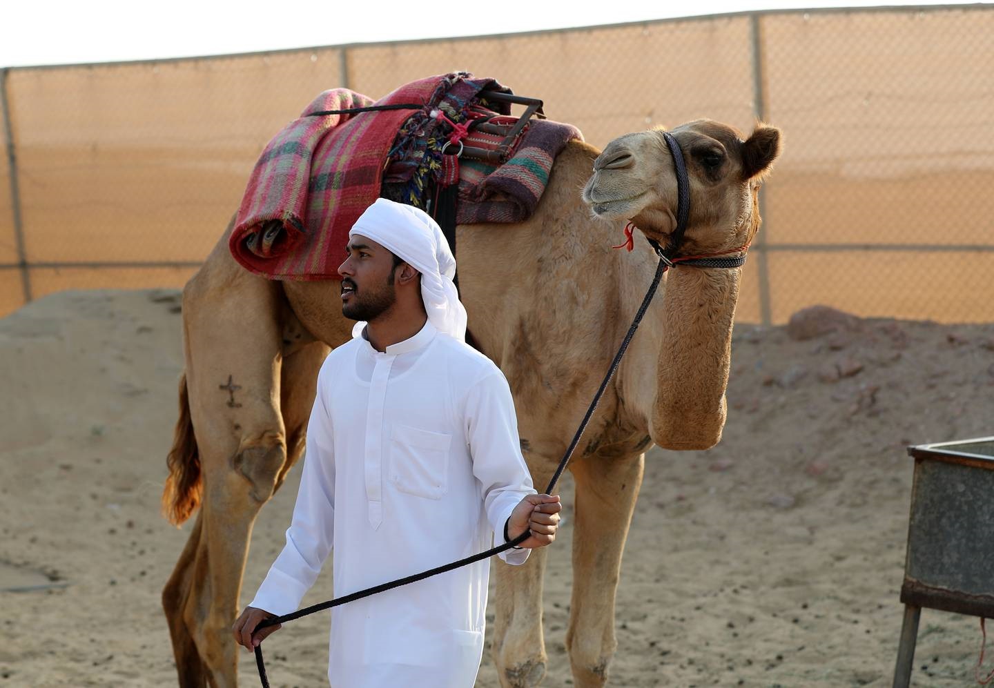 Camel Racing Track