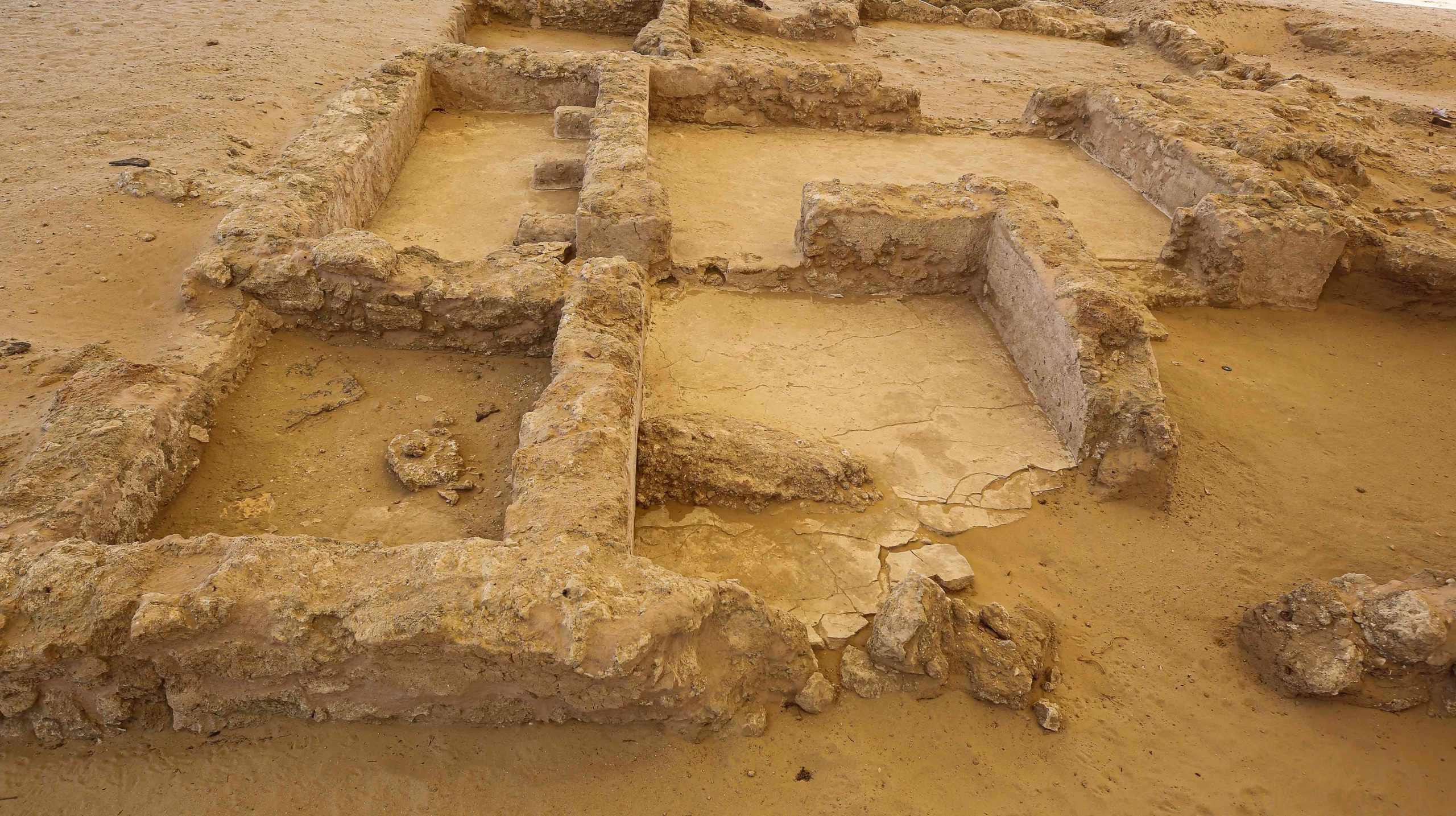 Sir Baniyas Island archeological sites